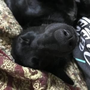 Meet your Posher, Marie